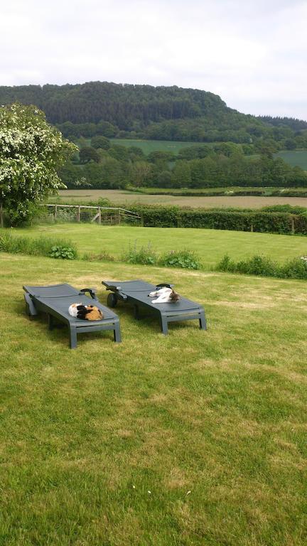 Bed and Breakfast Upper Letton Farm Leintwardine Exterior foto