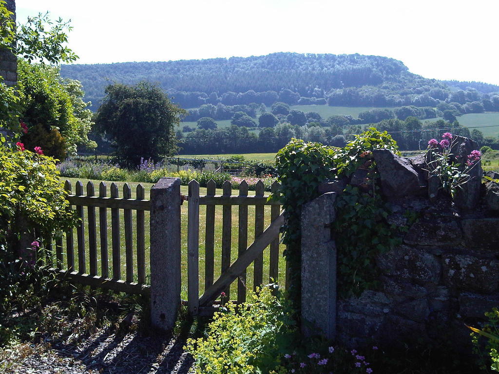 Bed and Breakfast Upper Letton Farm Leintwardine Exterior foto