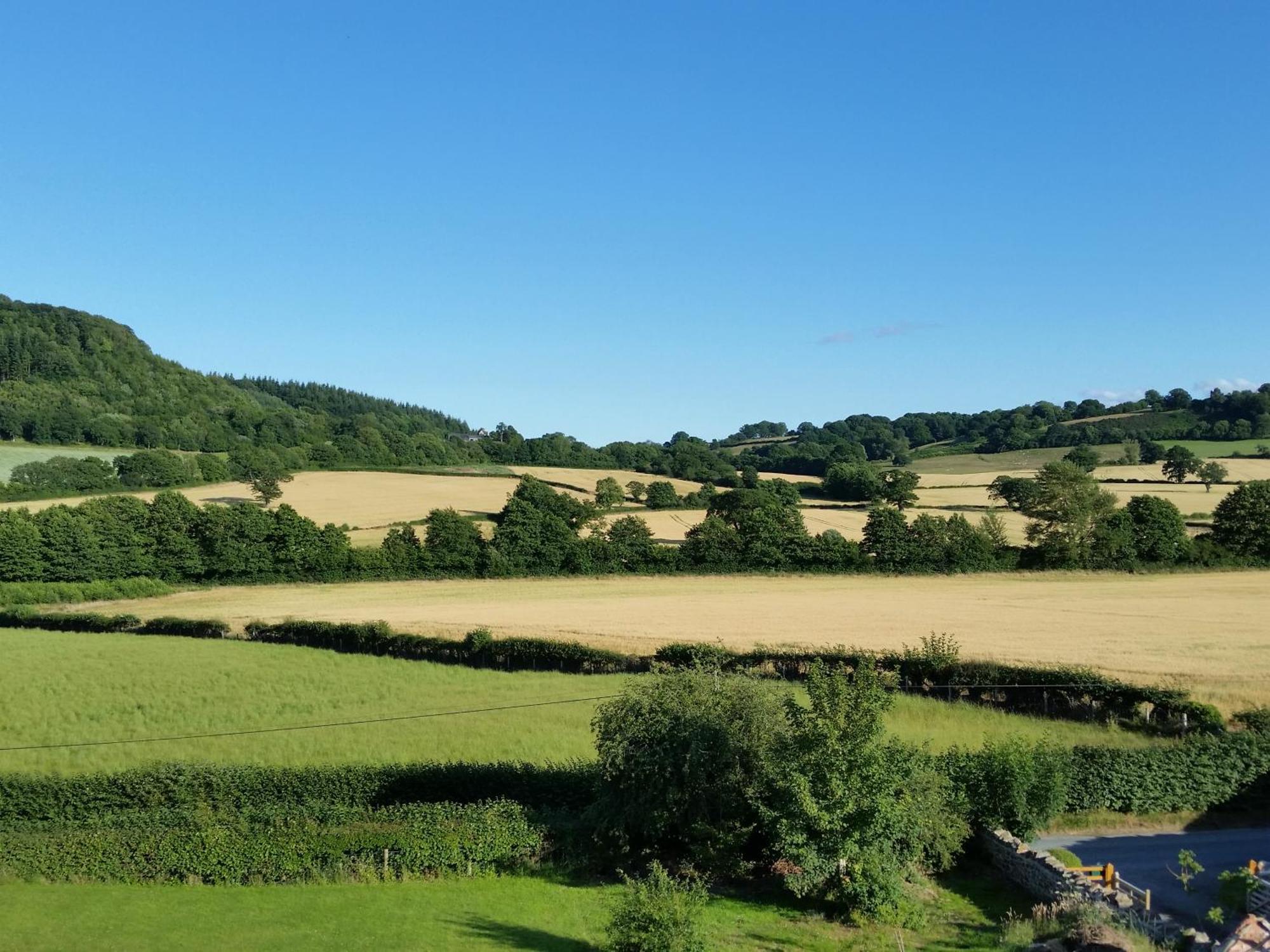 Bed and Breakfast Upper Letton Farm Leintwardine Exterior foto
